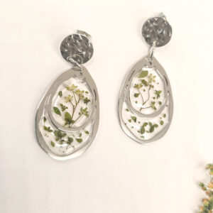 Aretes Minola Botánica